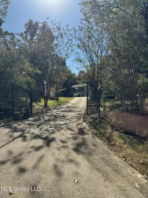 11275 Black Bear Cv, Hernando, MS 38632 photo 5