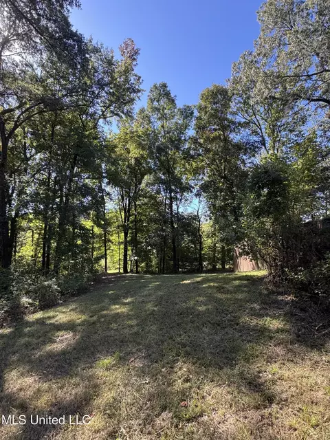11275 Black Bear Cv, Hernando, MS 38632 photo 11