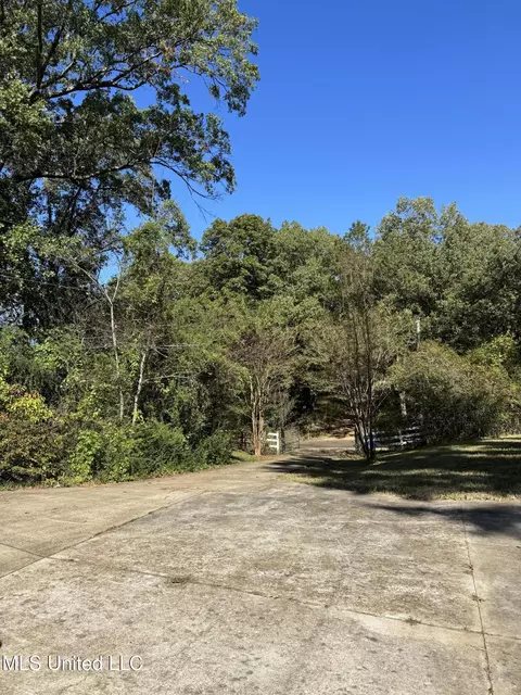 11275 Black Bear Cv, Hernando, MS 38632 photo 6