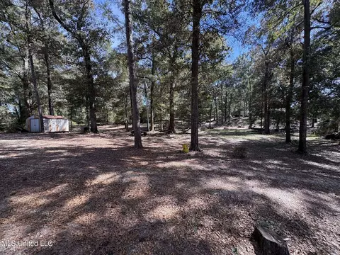 104 Matthew Johnson Rd, Wiggins, MS 39577 photo 20