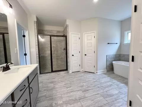 Bath - 2444 Scott Meadows Ln, Hernando, MS 38632 photo 3 of 5