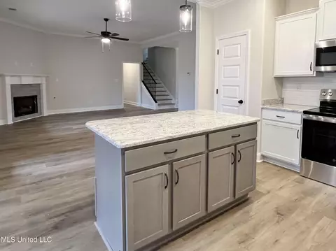 Kitchen - 2444 Scott Meadows Ln, Hernando, MS 38632 photo 1 of 2