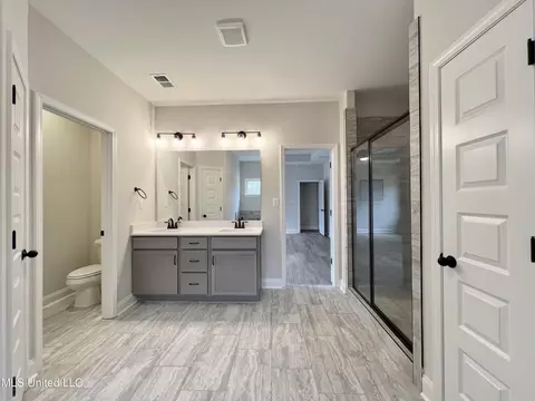 Bath - 2444 Scott Meadows Ln, Hernando, MS 38632 photo 2 of 5