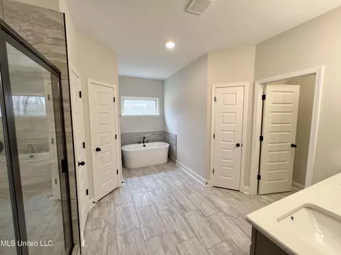 Bath - 2444 Scott Meadows Ln, Hernando, MS 38632 photo 1 of 5