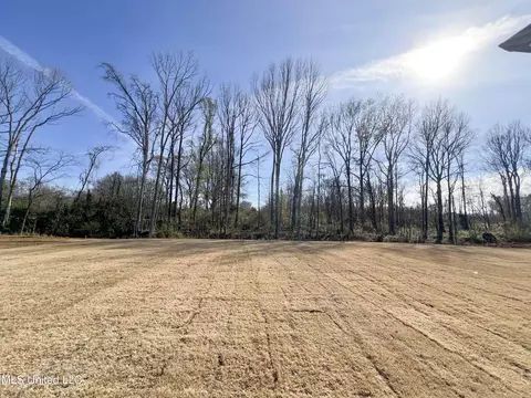 Exterior - 2444 Scott Meadows Ln, Hernando, MS 38632 photo 2 of 3