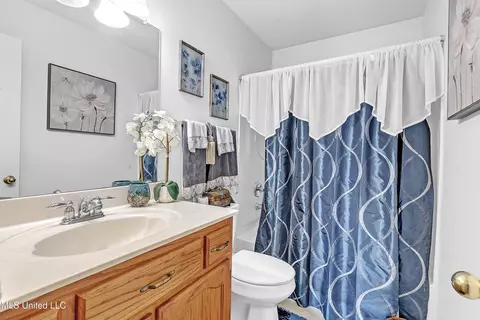 Bath - 7464 Ally Cv, Walls, MS 38680 photo 2 of 2