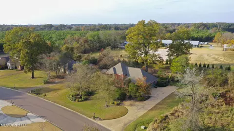 View/Area - 176 Northshore Blvd, Madison, MS 39110 photo 10 of 10
