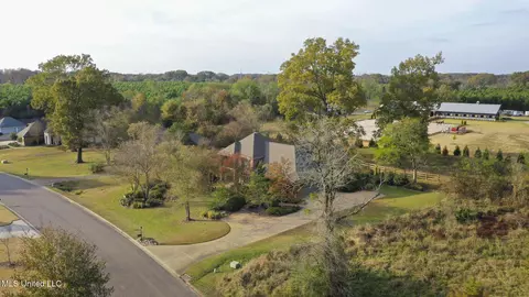 View/Area - 176 Northshore Blvd, Madison, MS 39110 photo 9 of 10
