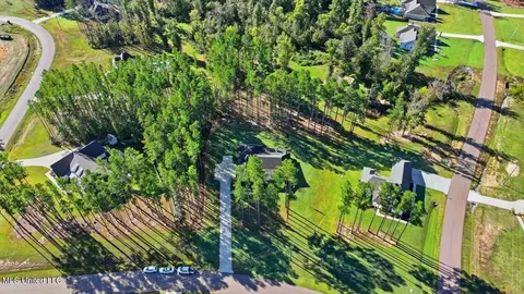 View/Area - 202 Lost Oak Ln, Brandon, MS 39047 photo 22 of 23