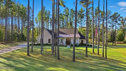 Exterior - 202 Lost Oak Ln, Brandon, MS 39047 photo 5 of 16
