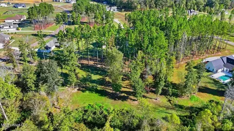 View/Area - 202 Lost Oak Ln, Brandon, MS 39047 photo 19 of 23
