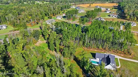View/Area - 202 Lost Oak Ln, Brandon, MS 39047 photo 15 of 23