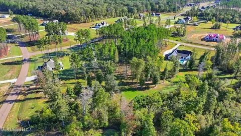 View/Area - 202 Lost Oak Ln, Brandon, MS 39047 photo 17 of 23