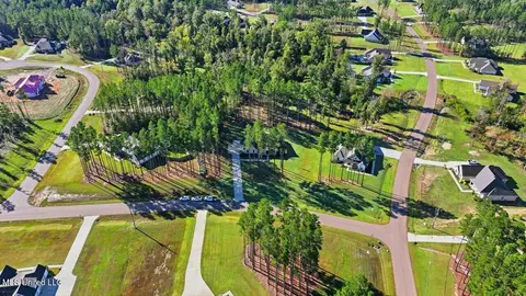 View/Area - 202 Lost Oak Ln, Brandon, MS 39047 photo 5 of 23