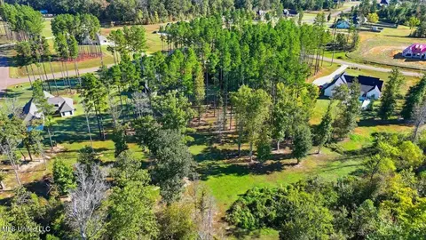View/Area - 202 Lost Oak Ln, Brandon, MS 39047 photo 18 of 23