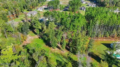 View/Area - 202 Lost Oak Ln, Brandon, MS 39047 photo 20 of 23