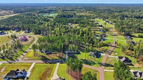 View/Area - 202 Lost Oak Ln, Brandon, MS 39047 photo 8 of 23