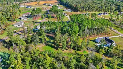 View/Area - 202 Lost Oak Ln, Brandon, MS 39047 photo 16 of 23
