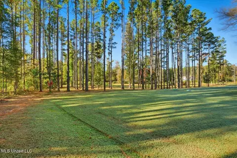 Exterior - 202 Lost Oak Ln, Brandon, MS 39047 photo 11 of 16
