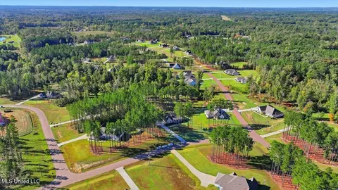 View/Area - 202 Lost Oak Ln, Brandon, MS 39047 photo 9 of 23
