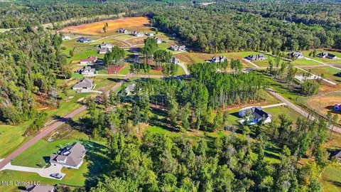View/Area - 202 Lost Oak Ln, Brandon, MS 39047 photo 13 of 23