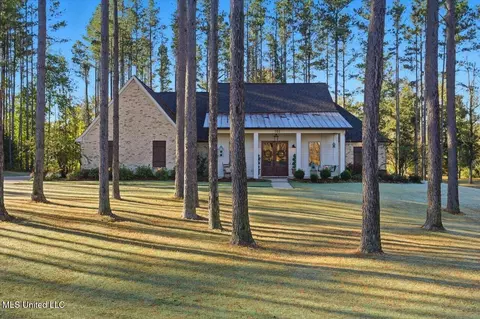 Exterior - 202 Lost Oak Ln, Brandon, MS 39047 photo 4 of 16