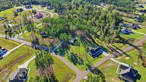 View/Area - 202 Lost Oak Ln, Brandon, MS 39047 photo 6 of 23