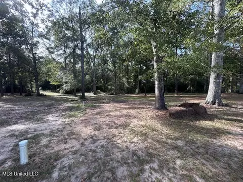 Exterior - 1044 Summer Oak Ln, Summit, MS 39666 photo 11 of 13