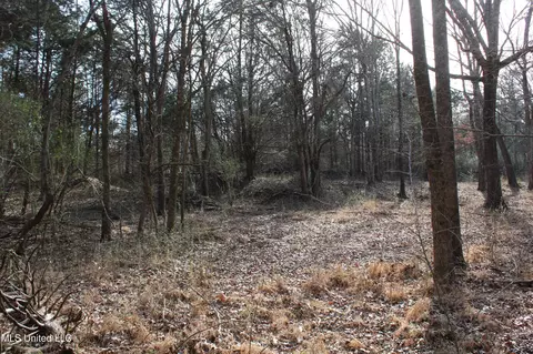 5 Hollow Crossing Cv, Senatobia, MS 38668 photo 17