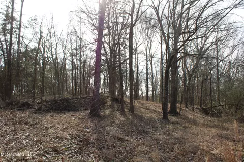 5 Hollow Crossing Cv, Senatobia, MS 38668 photo 21
