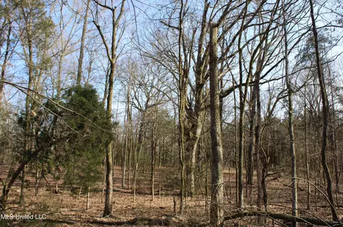 5 Hollow Crossing Cv, Senatobia, MS 38668 photo 33