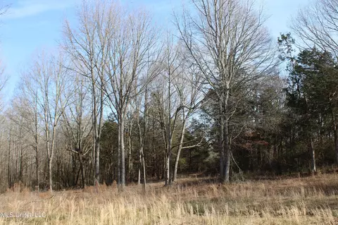 5 Hollow Crossing Cv, Senatobia, MS 38668 photo 5
