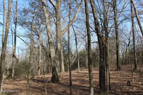 5 Hollow Crossing Cv, Senatobia, MS 38668 photo 35