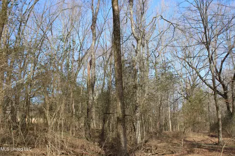 5 Hollow Crossing Cv, Senatobia, MS 38668 photo 12