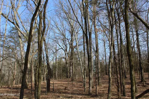 5 Hollow Crossing Cv, Senatobia, MS 38668 photo 34