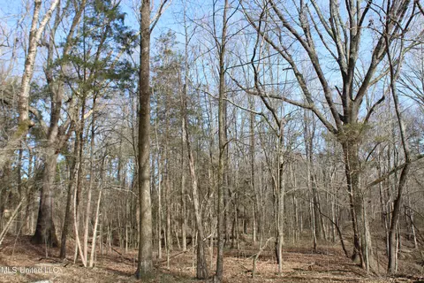 5 Hollow Crossing Cv, Senatobia, MS 38668 photo 8