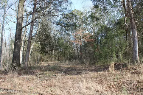 5 Hollow Crossing Cv, Senatobia, MS 38668 photo 23