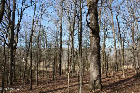 5 Hollow Crossing Cv, Senatobia, MS 38668 photo 31