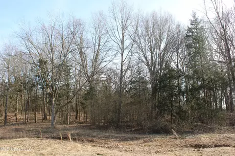 5 Hollow Crossing Cv, Senatobia, MS 38668 photo 38