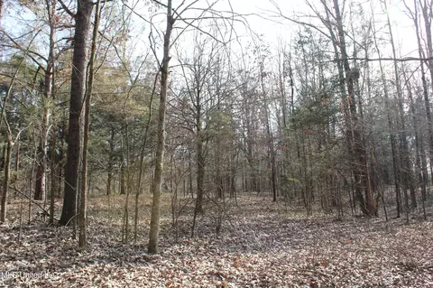 5 Hollow Crossing Cv, Senatobia, MS 38668 photo 26