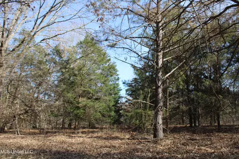 5 Hollow Crossing Cv, Senatobia, MS 38668 photo 27