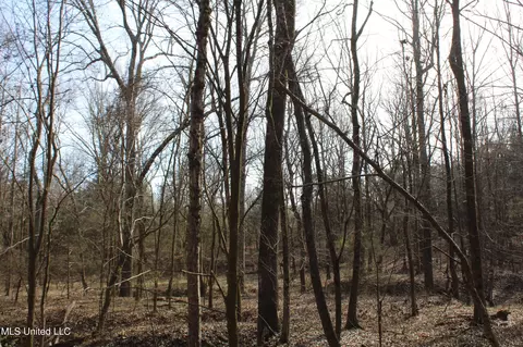 5 Hollow Crossing Cv, Senatobia, MS 38668 photo 10