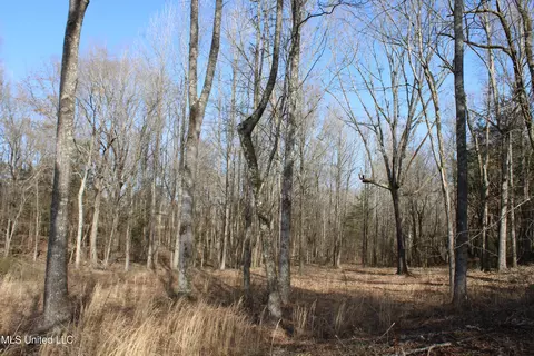 5 Hollow Crossing Cv, Senatobia, MS 38668 photo 20