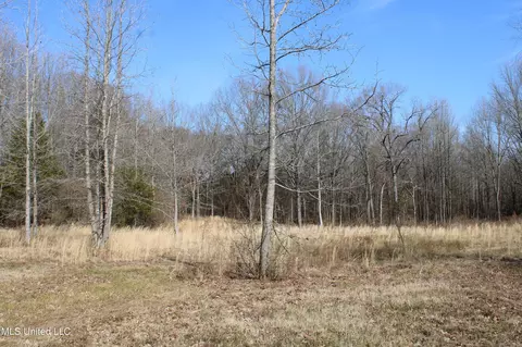 5 Hollow Crossing Cv, Senatobia, MS 38668 photo 3