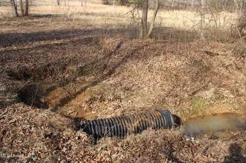 5 Hollow Crossing Cv, Senatobia, MS 38668 photo 36