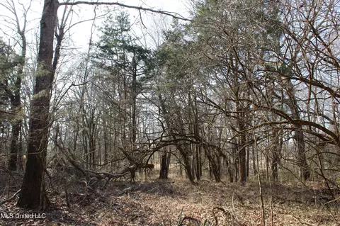 5 Hollow Crossing Cv, Senatobia, MS 38668 photo 29