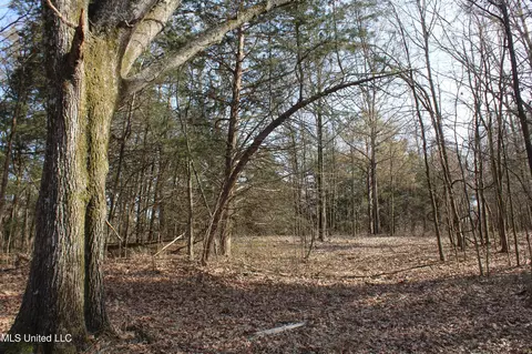 5 Hollow Crossing Cv, Senatobia, MS 38668 photo 24