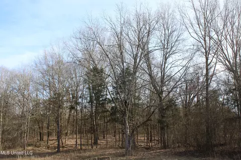 5 Hollow Crossing Cv, Senatobia, MS 38668 photo 2