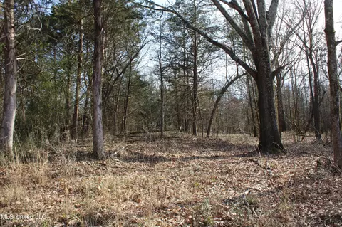 5 Hollow Crossing Cv, Senatobia, MS 38668 photo 22