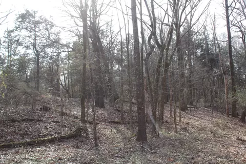5 Hollow Crossing Cv, Senatobia, MS 38668 photo 15